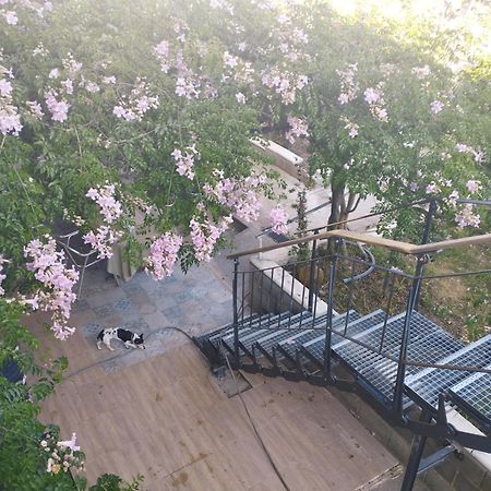 La Fabriqueta Apartament Riudecanyes Dış mekan fotoğraf