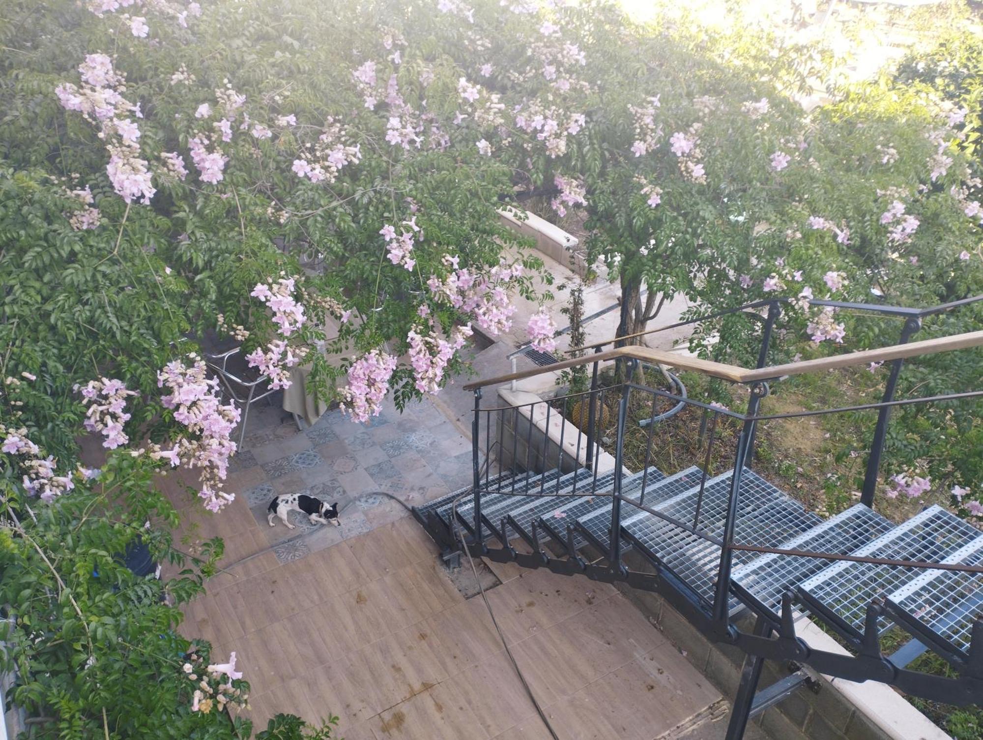 La Fabriqueta Apartament Riudecanyes Dış mekan fotoğraf