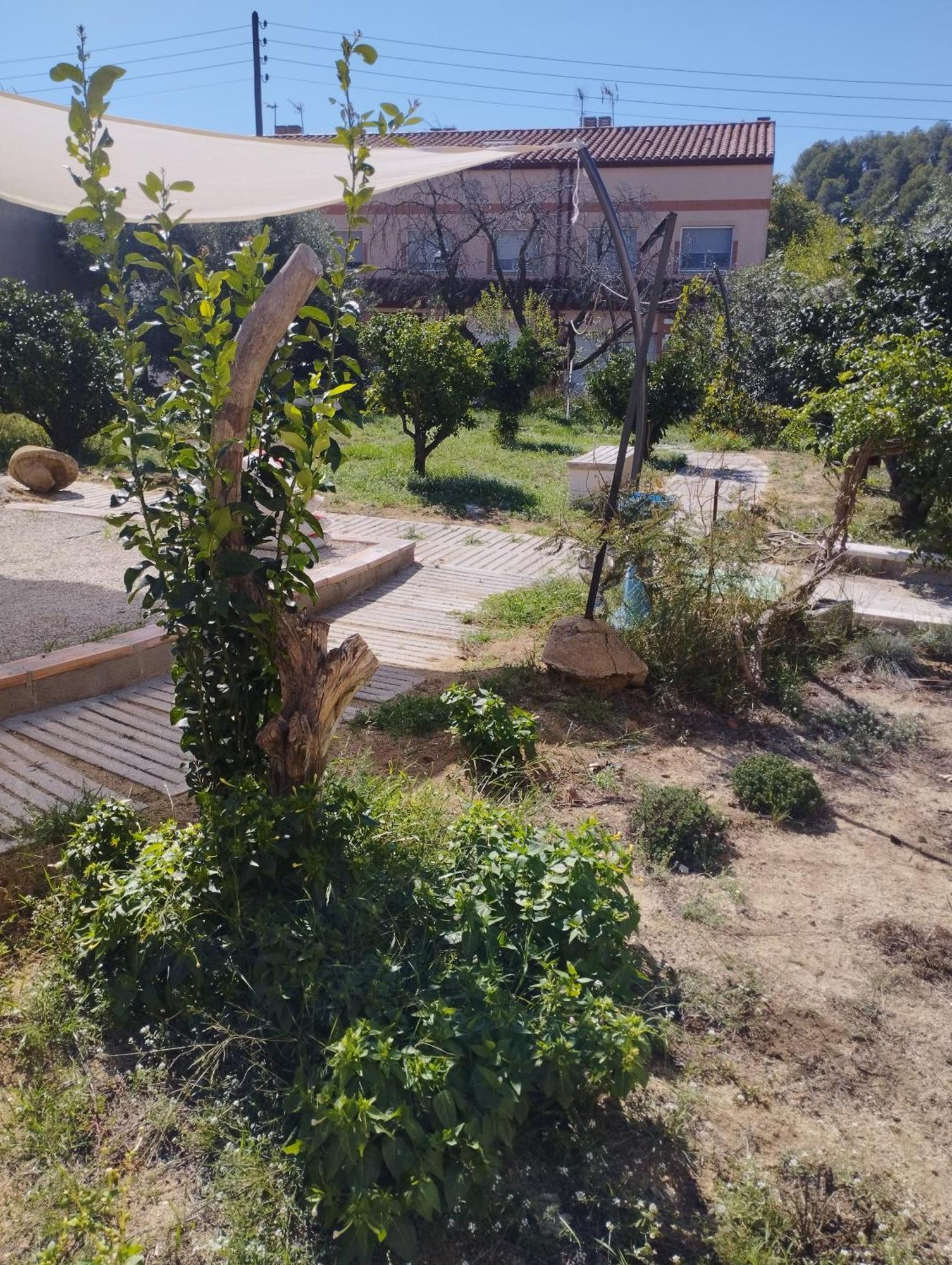 La Fabriqueta Apartament Riudecanyes Dış mekan fotoğraf